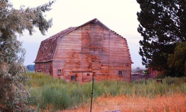 Barn